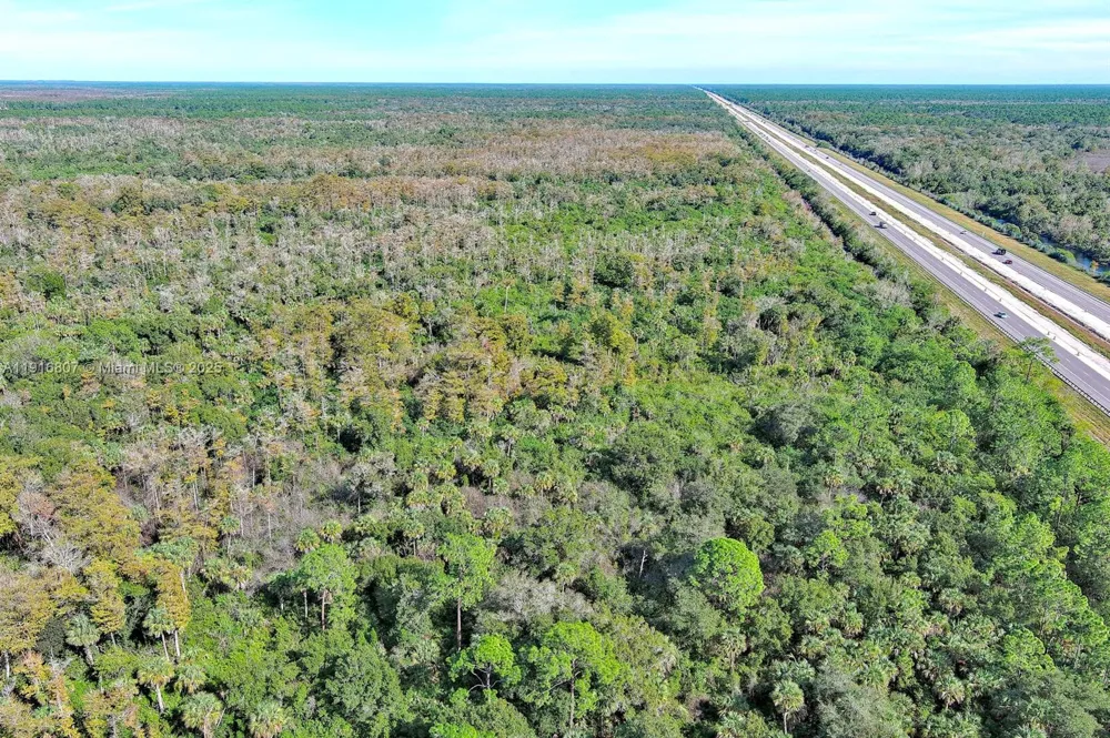 Alligator Alley Naples, FL 34117