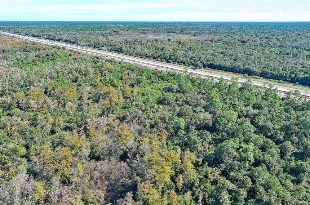 Alligator Alley Naples, FL 34117