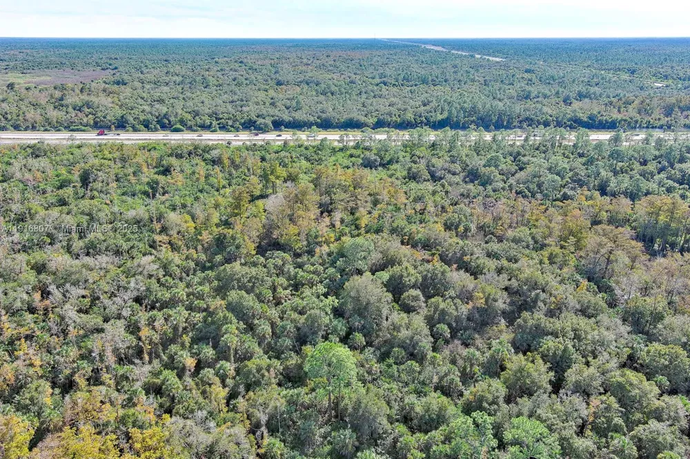 Alligator Alley Naples, FL 34117