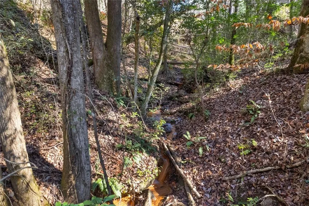 LOT 29 Raven Ridge Road Clayton, GA 30525