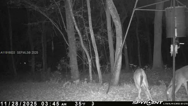 6169 COUNTY ROAD 209 S Other City - In The State Of Florida, FL 32043