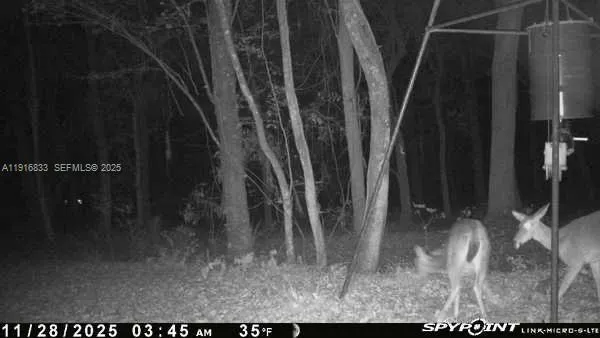 6169 COUNTY ROAD 209 S Other City - In The State Of Florida, FL 32043