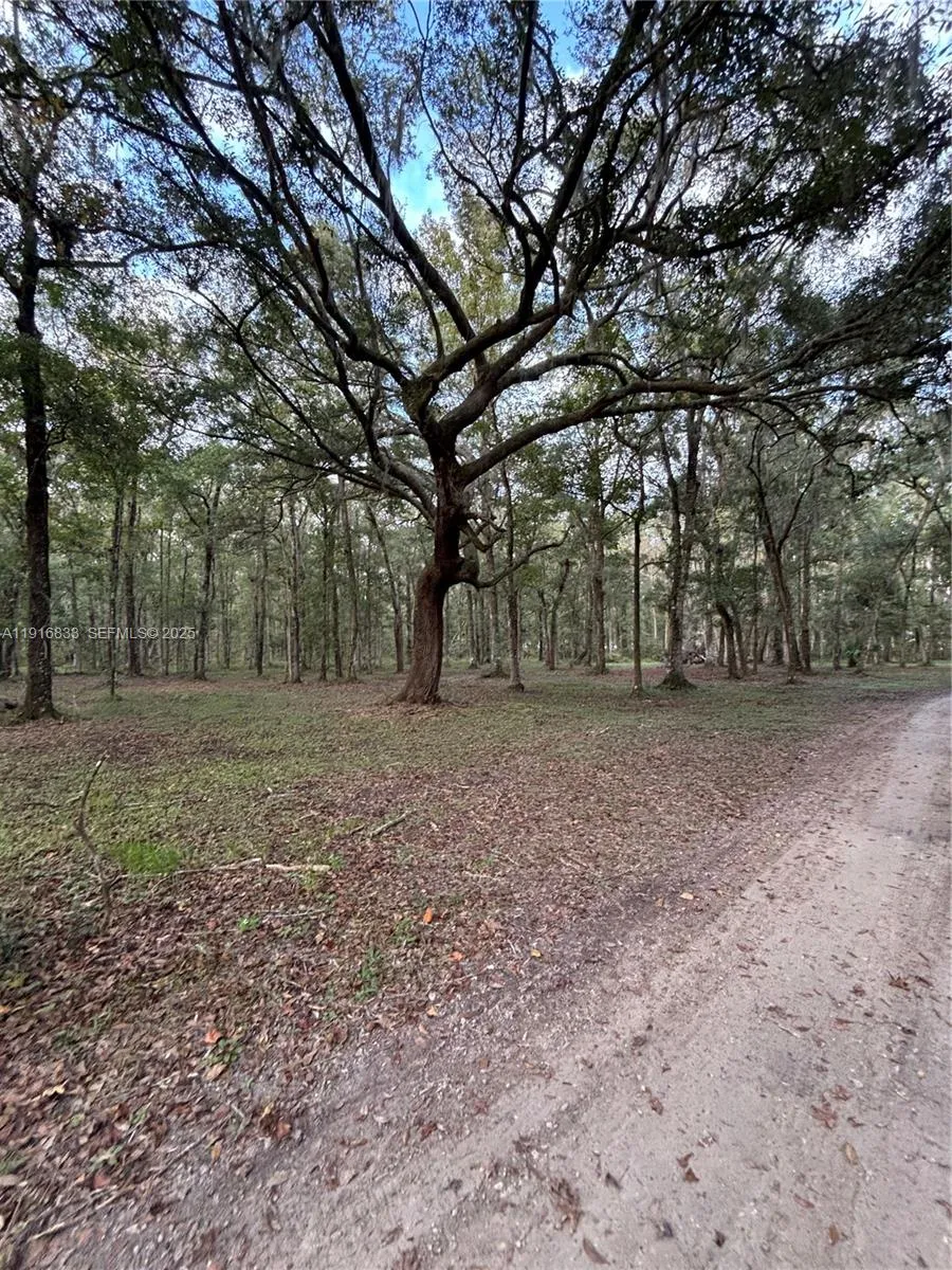 6169 COUNTY ROAD 209 S Other City - In The State Of Florida, FL 32043