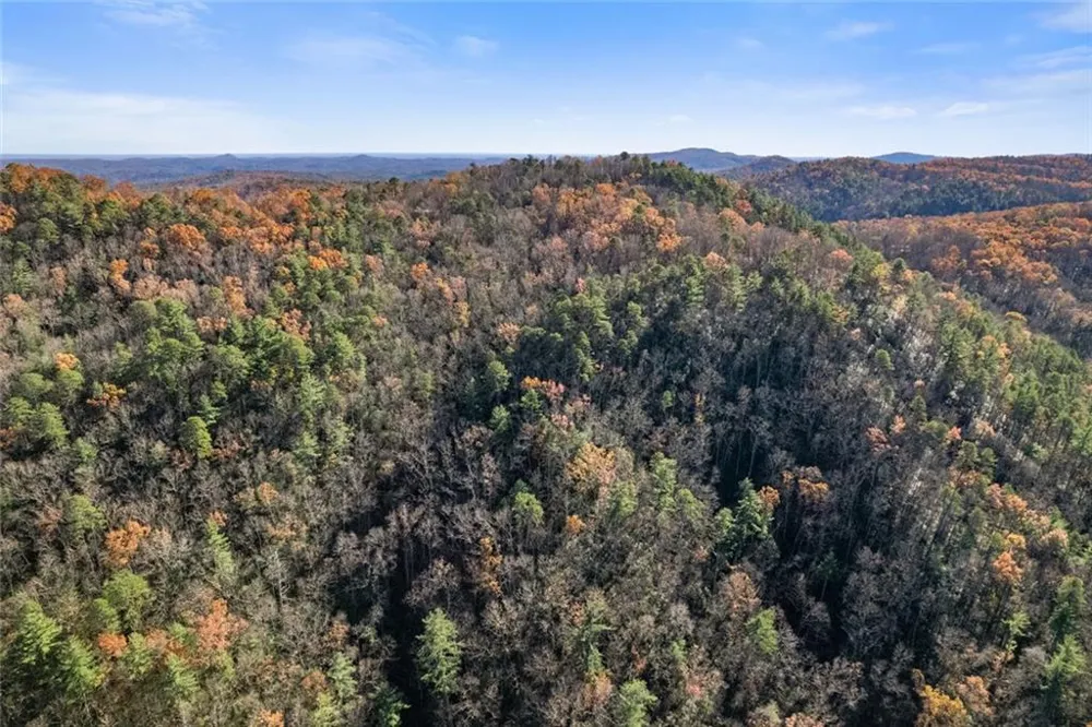1 Raven Ridge Road Clayton, GA 30525