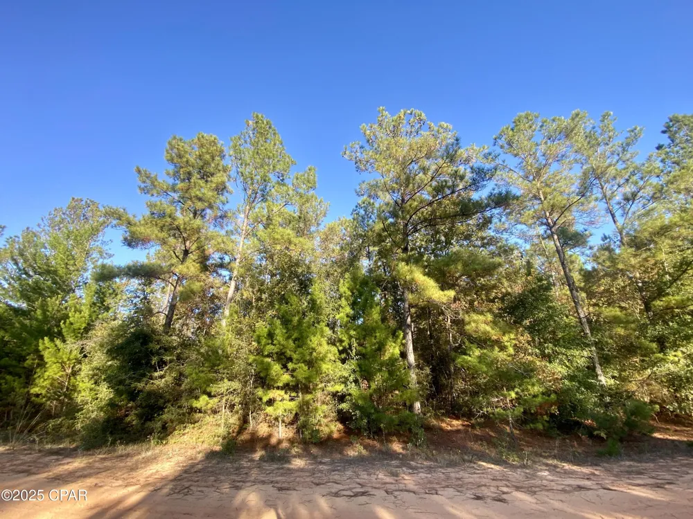 9 Adams Drive Alford, FL 32420
