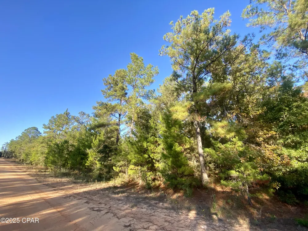 9 Adams Drive Alford, FL 32420