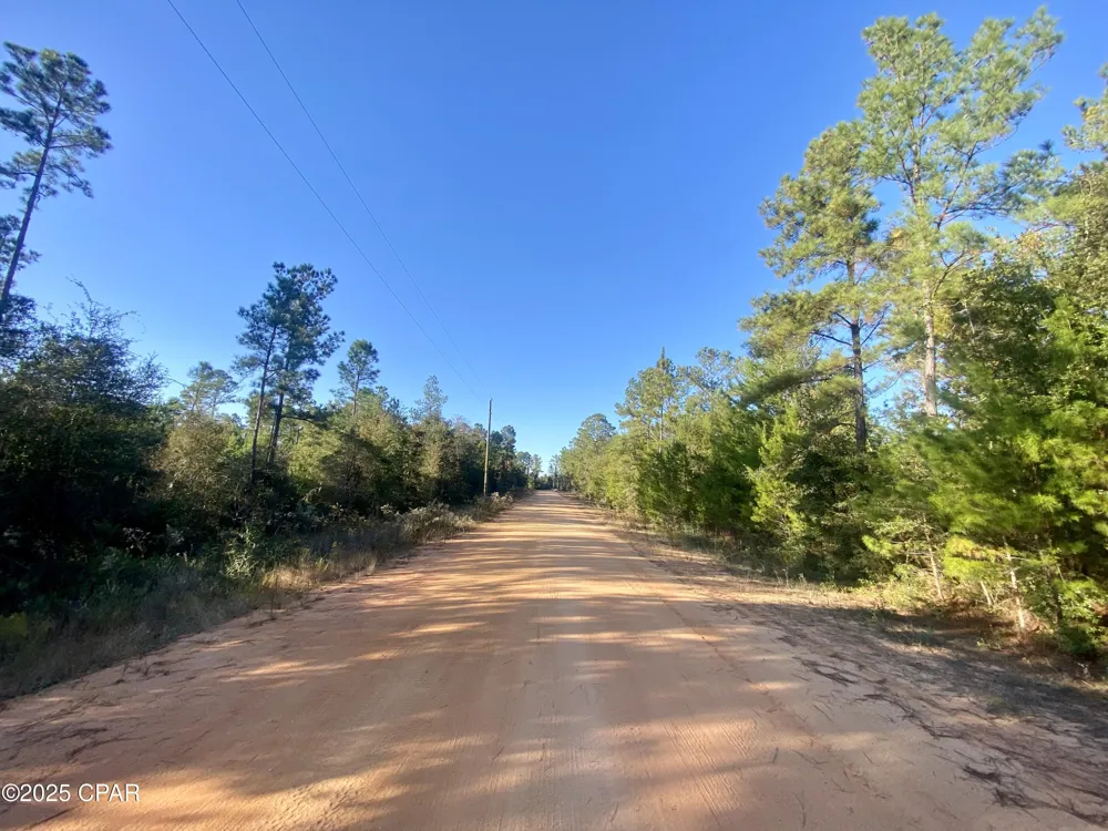 9 Adams Drive Alford, FL 32420