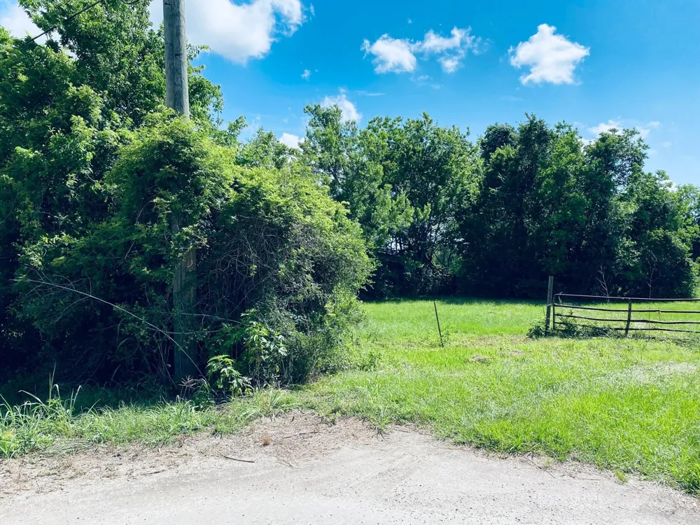 1717 Caroline Street Dickinson, TX 77539