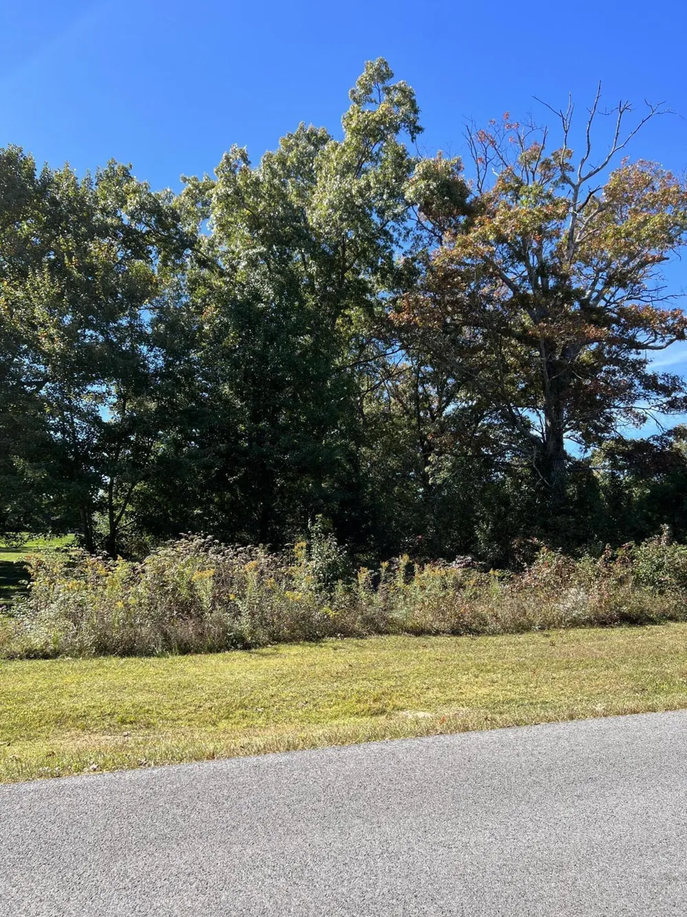 1012 Ridley Drive Crossville, TN 38572