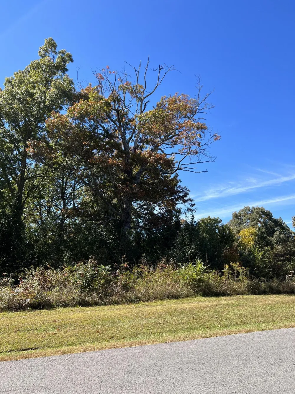 1012 Ridley Drive Crossville, TN 38572