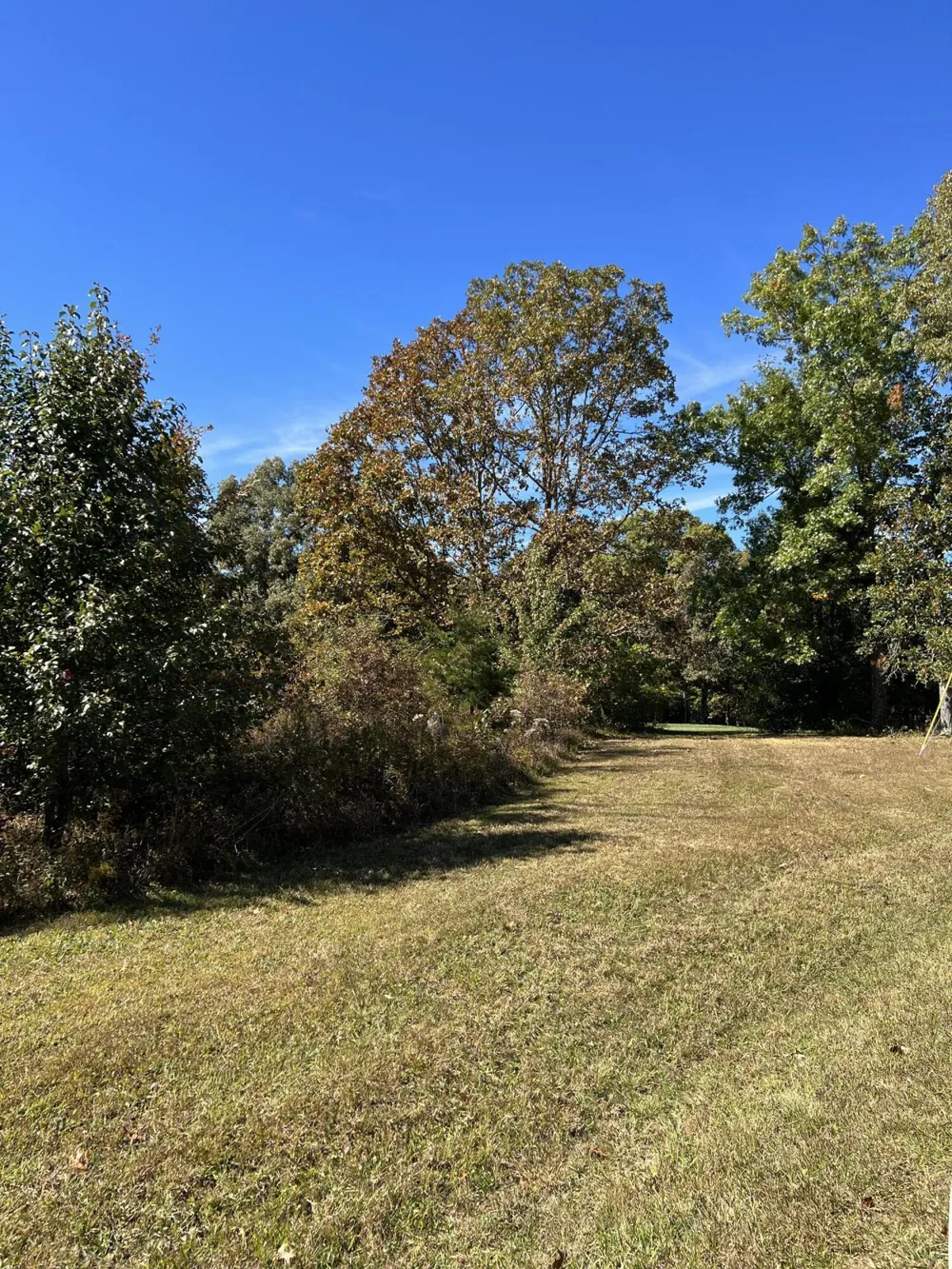 1012 Ridley Drive Crossville, TN 38572