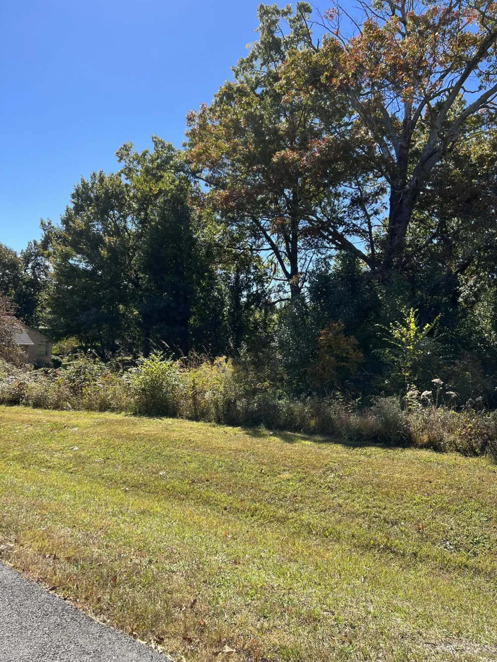 1012 Ridley Drive Crossville, TN 38572