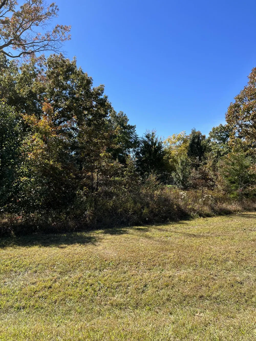 1012 Ridley Drive Crossville, TN 38572