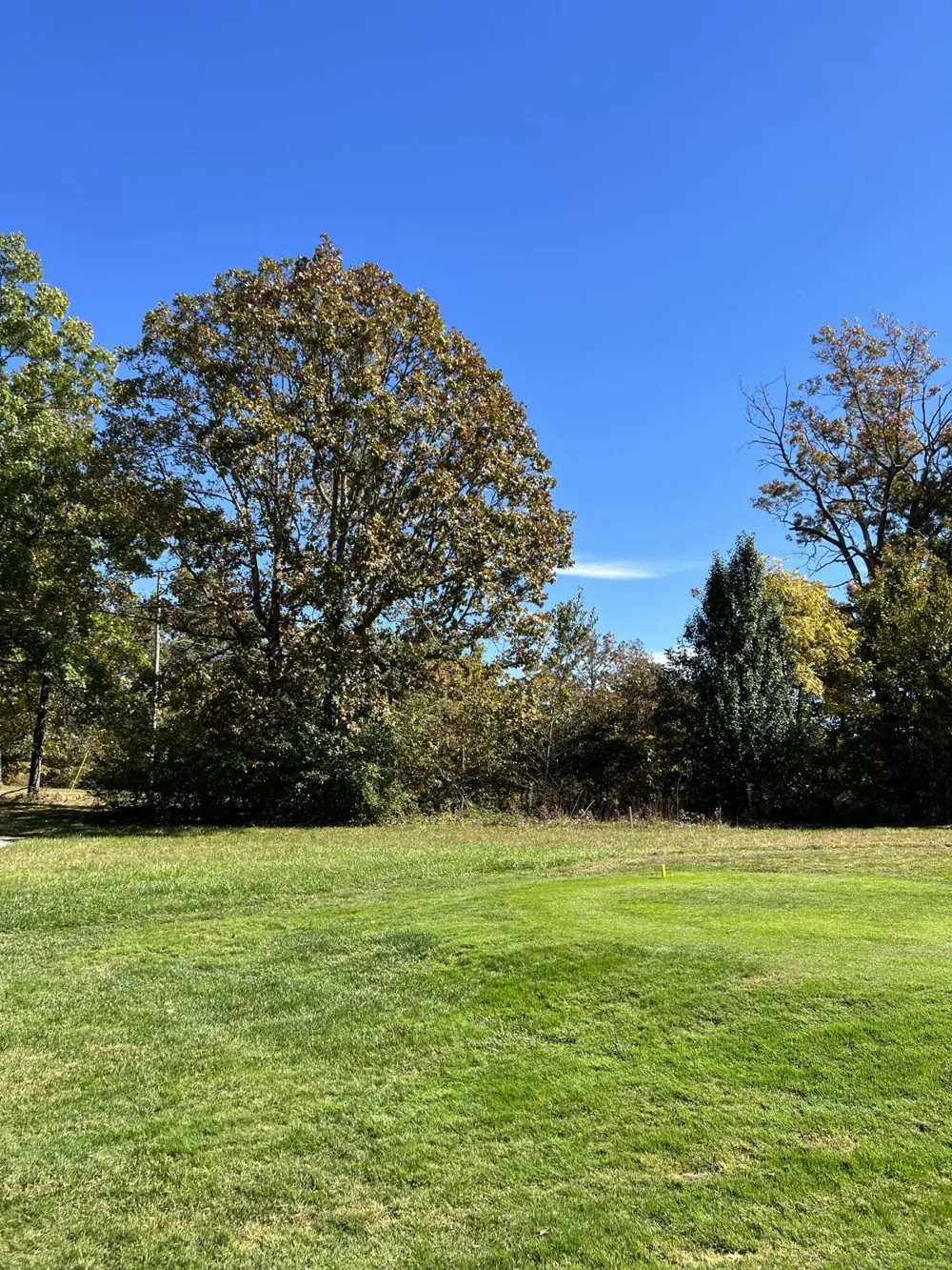 1012 Ridley Drive Crossville, TN 38572