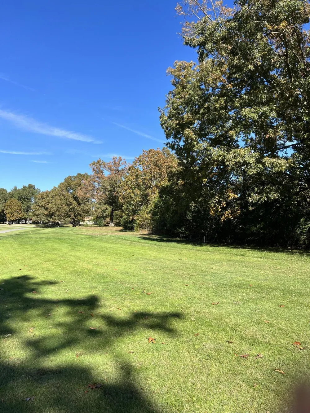 1012 Ridley Drive Crossville, TN 38572