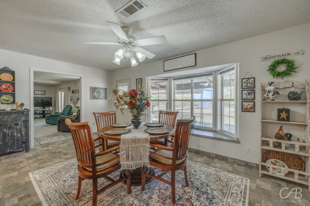 155 Lakeview Drive Coleman, TX 76834