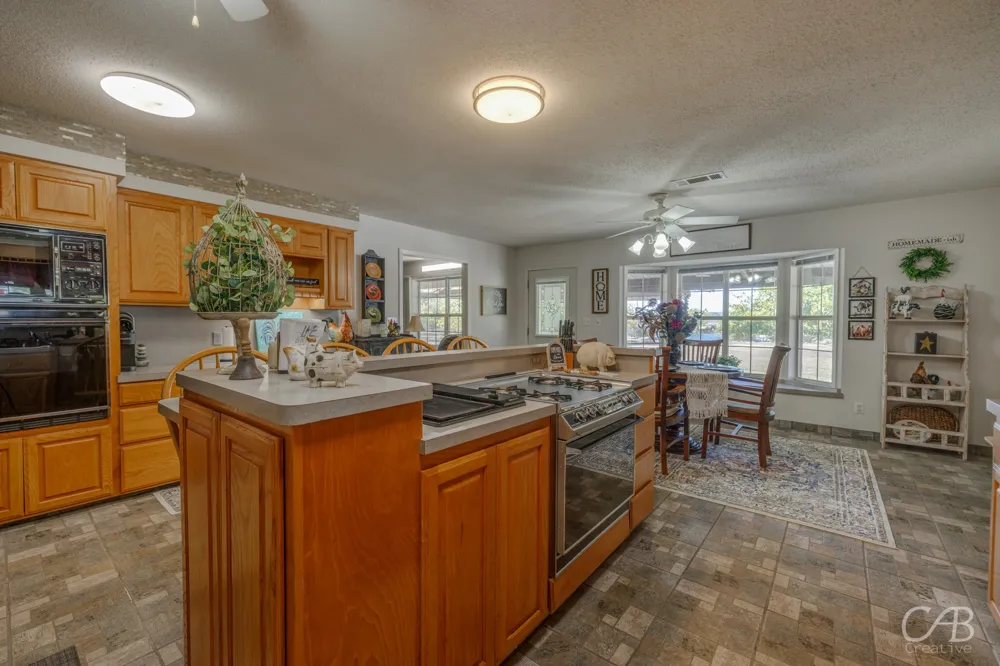 155 Lakeview Drive Coleman, TX 76834
