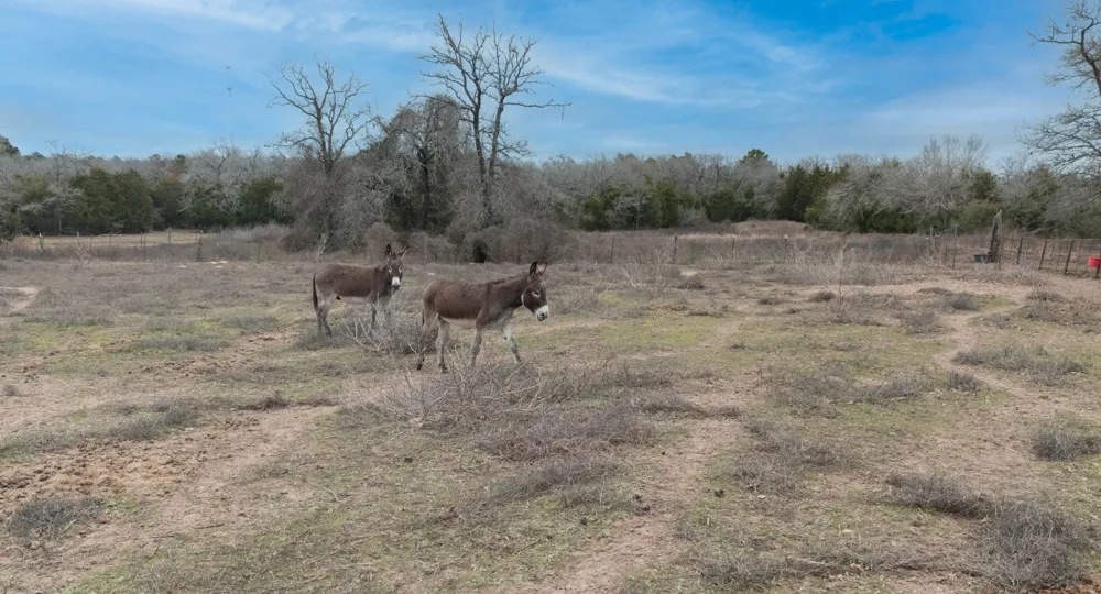 920 Old Potato Road Paige, TX 78659