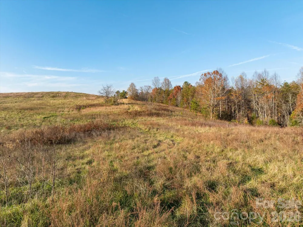 1888 Pea Ridge Road Mill Spring, NC 28756