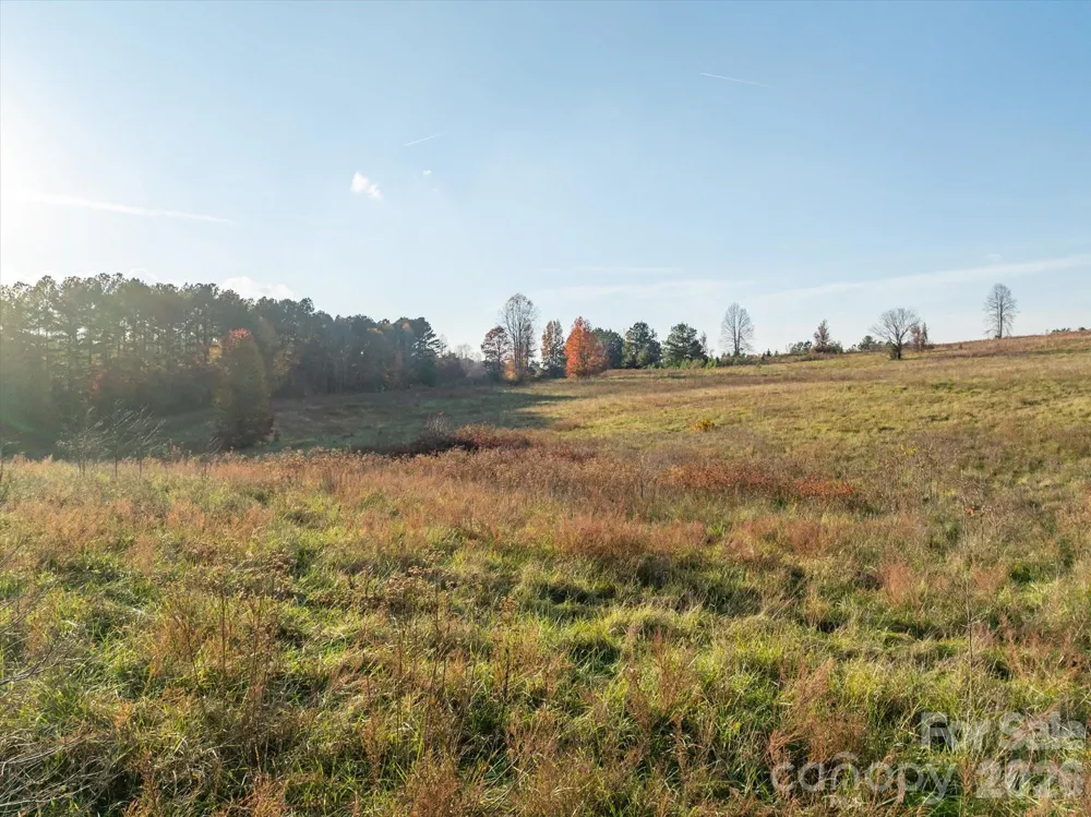 1888 Pea Ridge Road Mill Spring, NC 28756