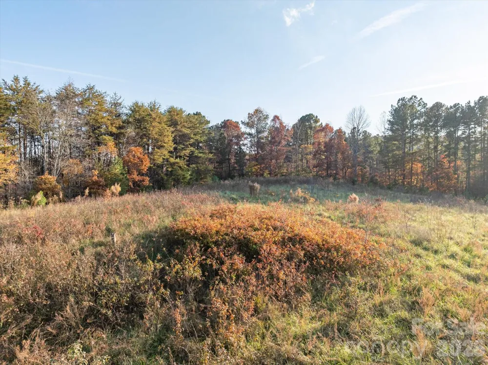 1888 Pea Ridge Road Mill Spring, NC 28756