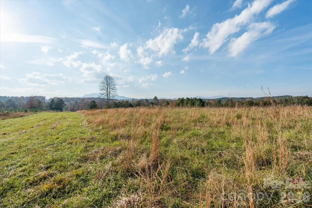 1888 Pea Ridge Road Mill Spring, NC 28756