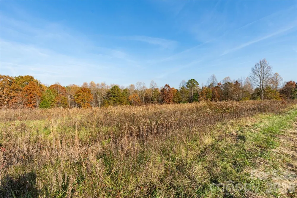 1888 Pea Ridge Road Mill Spring, NC 28756