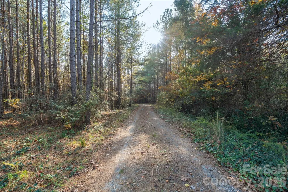 1888 Pea Ridge Road Mill Spring, NC 28756