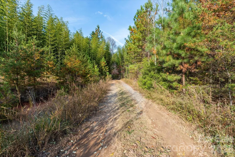 1888 Pea Ridge Road Mill Spring, NC 28756