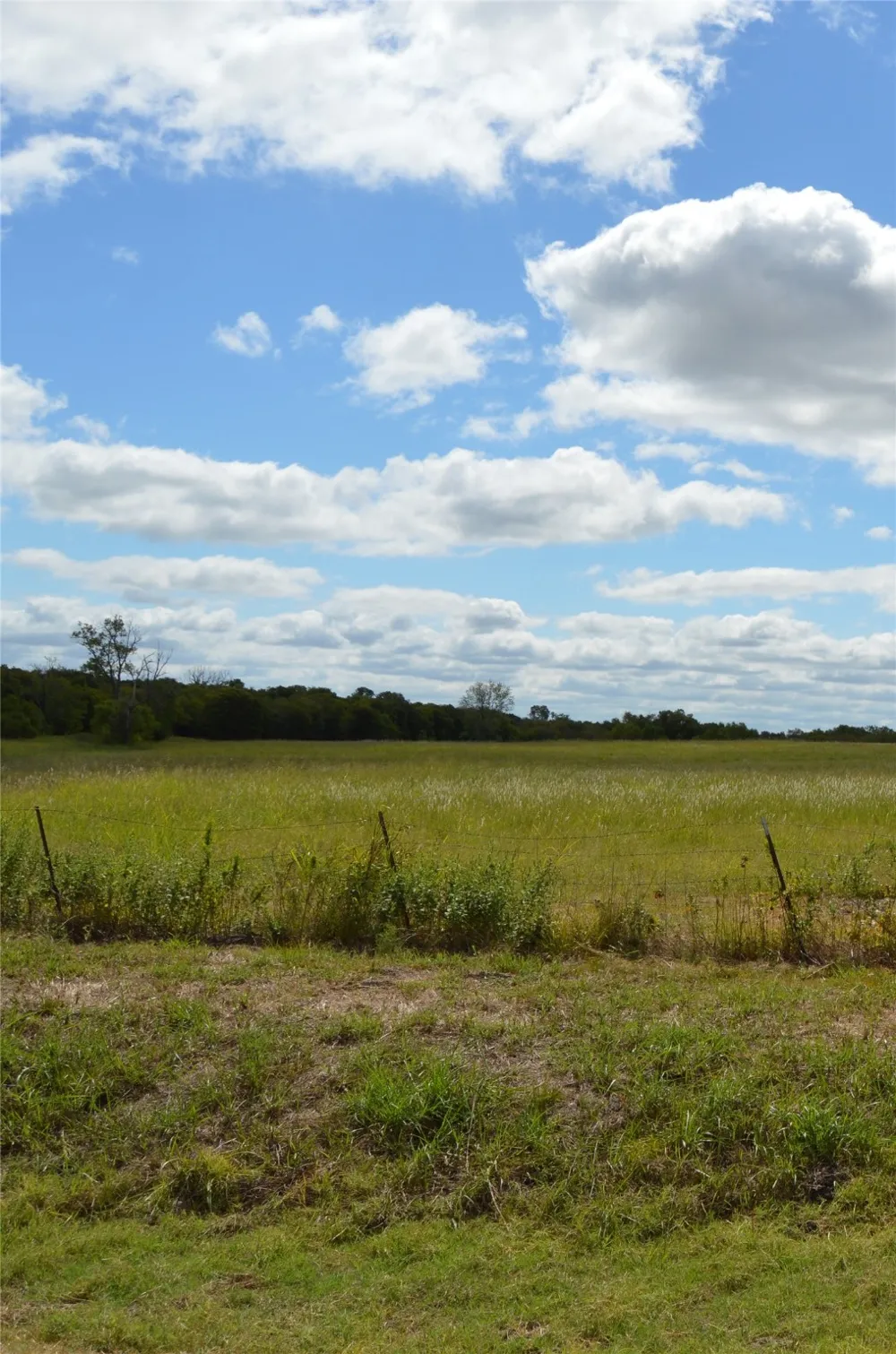 CR 2068 Klondike, TX 75448