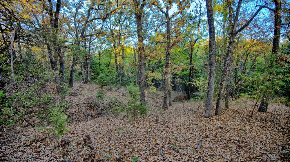 FM 373 St Jo, TX 76265