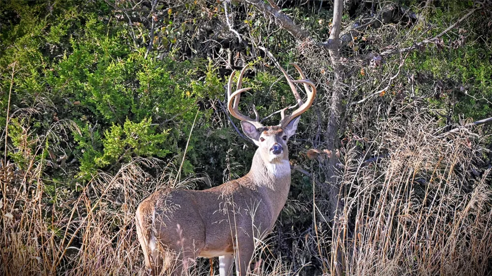 FM 373 St Jo, TX 76265