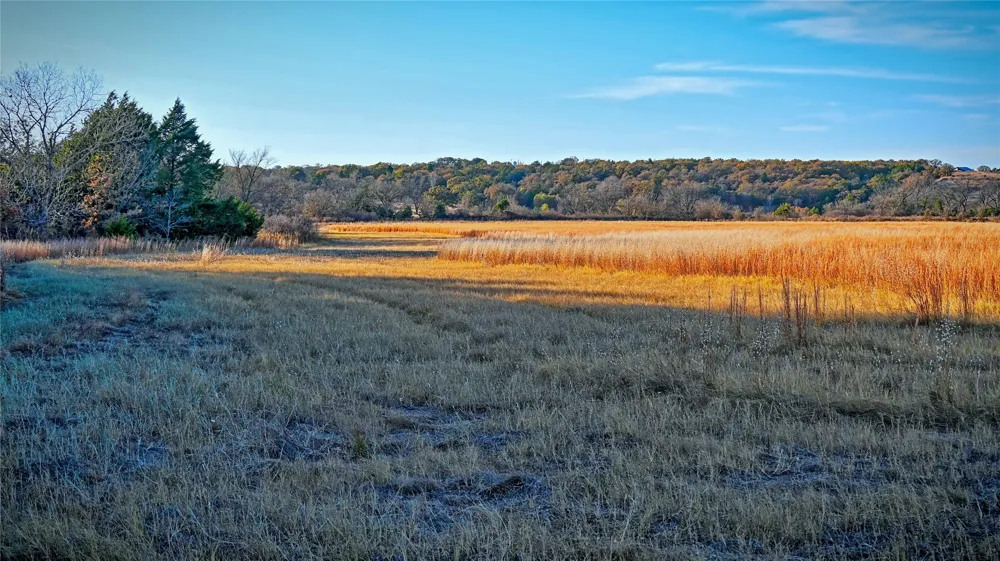 FM 373 St Jo, TX 76265