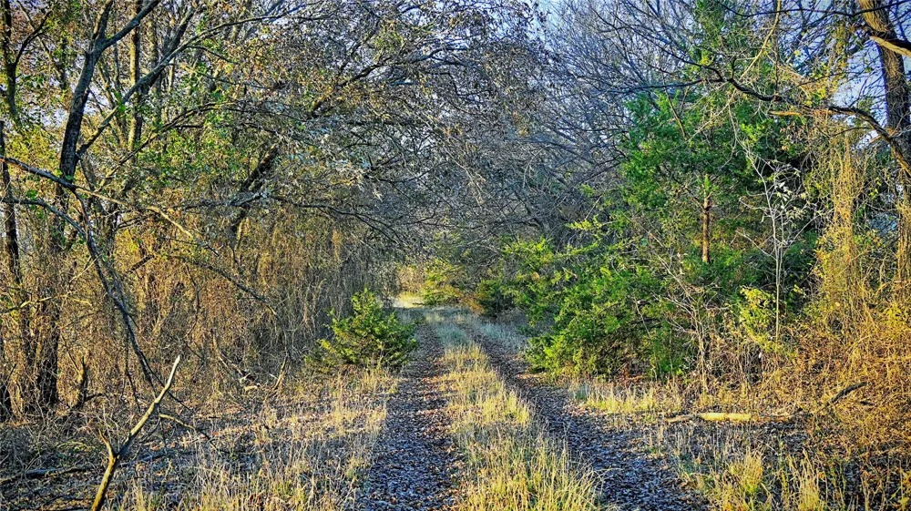 FM 373 St Jo, TX 76265