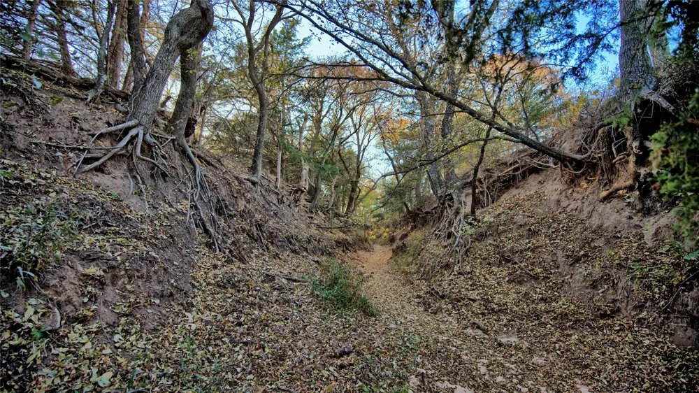 FM 373 St Jo, TX 76265