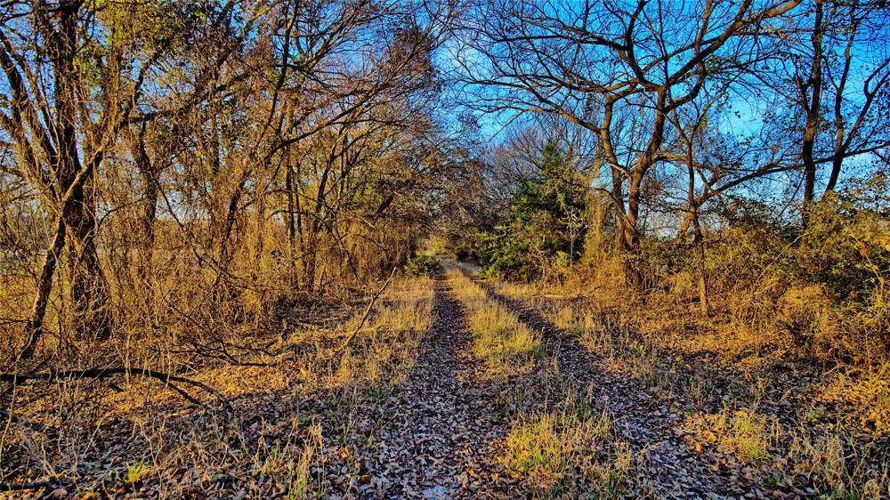 FM 373 St Jo, TX 76265