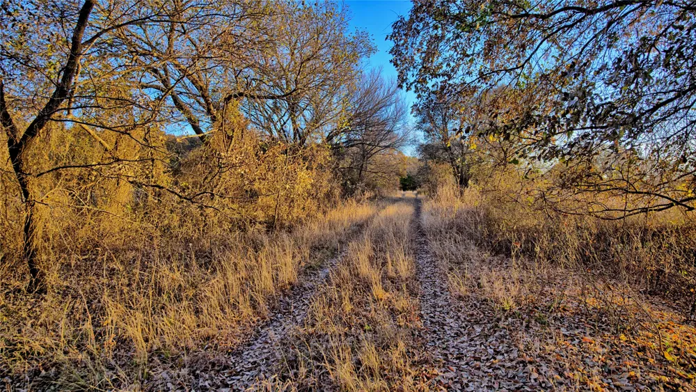 FM 373 St Jo, TX 76265
