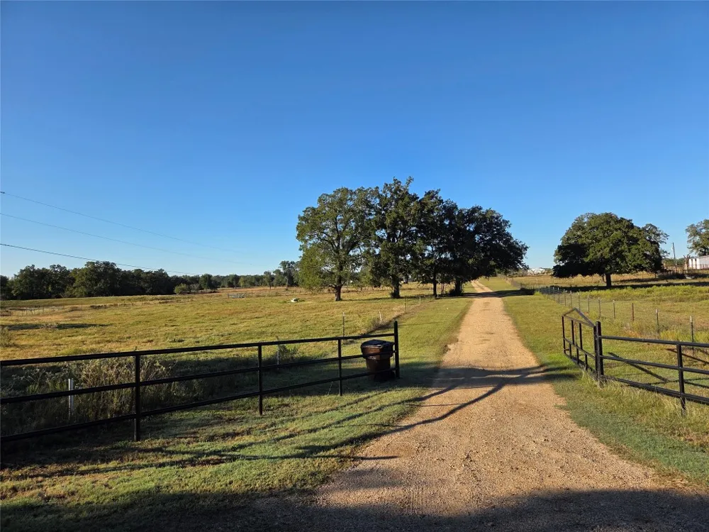 298 CR 346 ROAD Milano, TX 76556