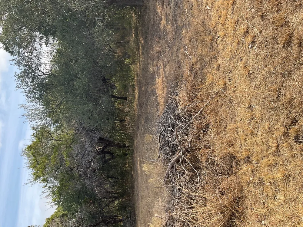 17308 W 1st Street Leander, TX 78641
