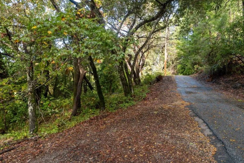 Lakeview Avenue Felton, CA 95018