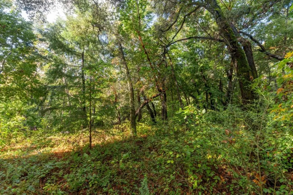 Lakeview Avenue Felton, CA 95018