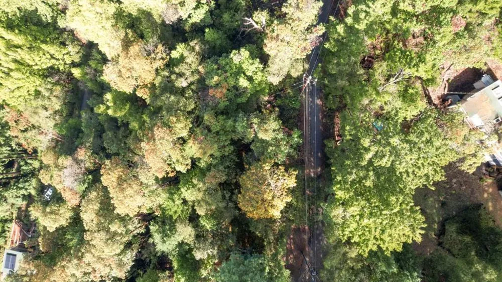 Lakeview Avenue Felton, CA 95018