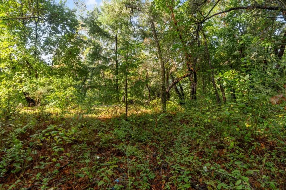Lakeview Avenue Felton, CA 95018