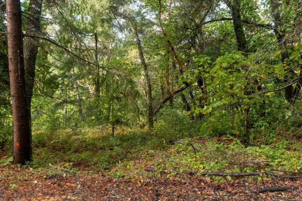 Lakeview Avenue Felton, CA 95018