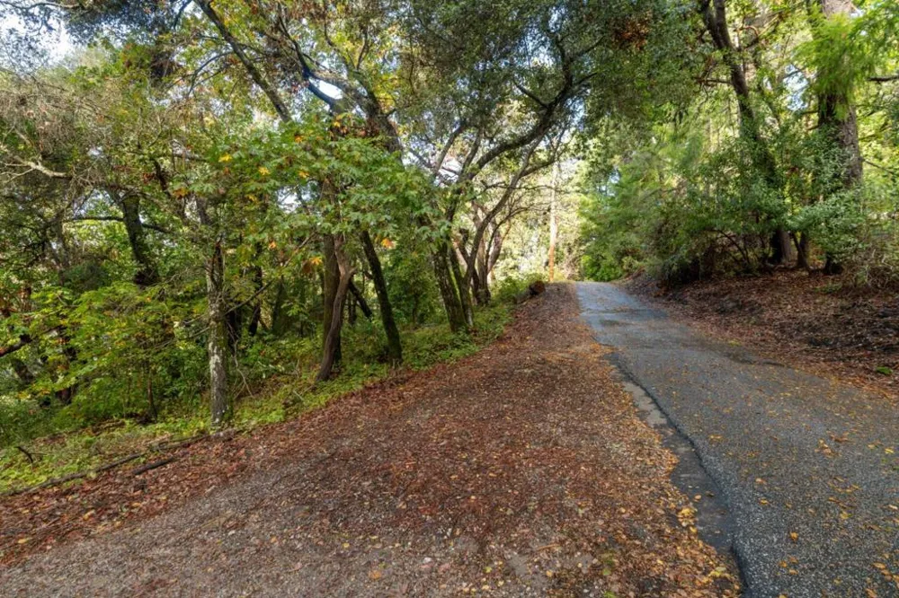 Lakeview Avenue Felton, CA 95018