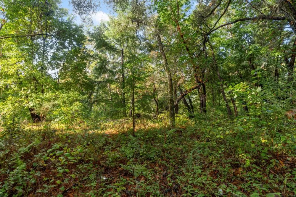 Lakeview Avenue Felton, CA 95018