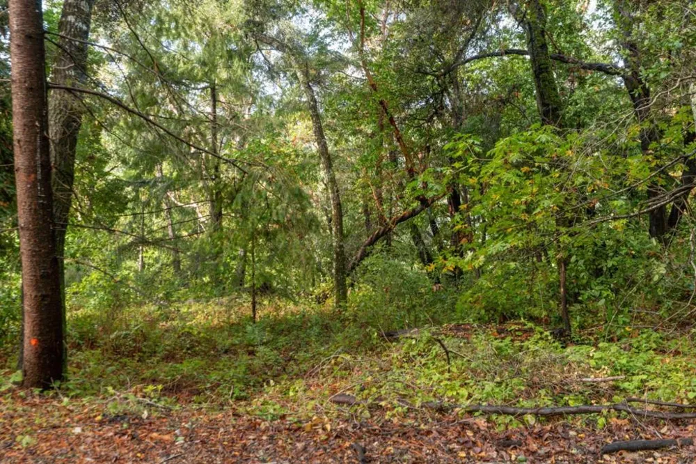 Lakeview Avenue Felton, CA 95018