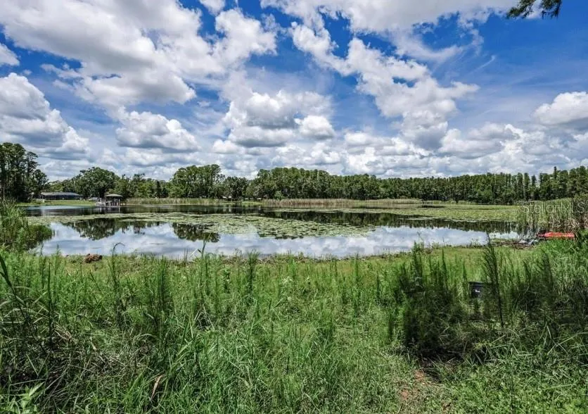 4635 COBB ROAD Land O Lakes, FL 34638