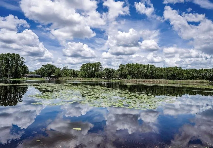 4635 COBB ROAD Land O Lakes, FL 34638