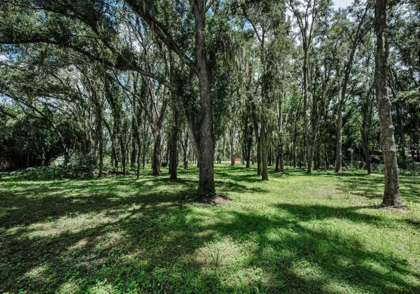 4635 COBB ROAD Land O Lakes, FL 34638